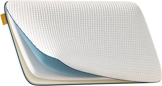 Emma Kussen 70x40 cm